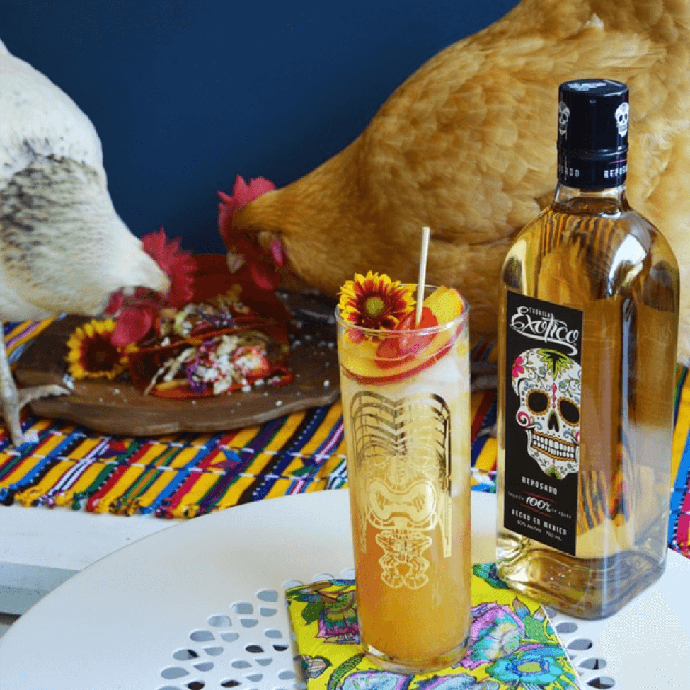 Vegetarian Tacos With Nectarine Tequila Swizzle By Drinking With Chickens