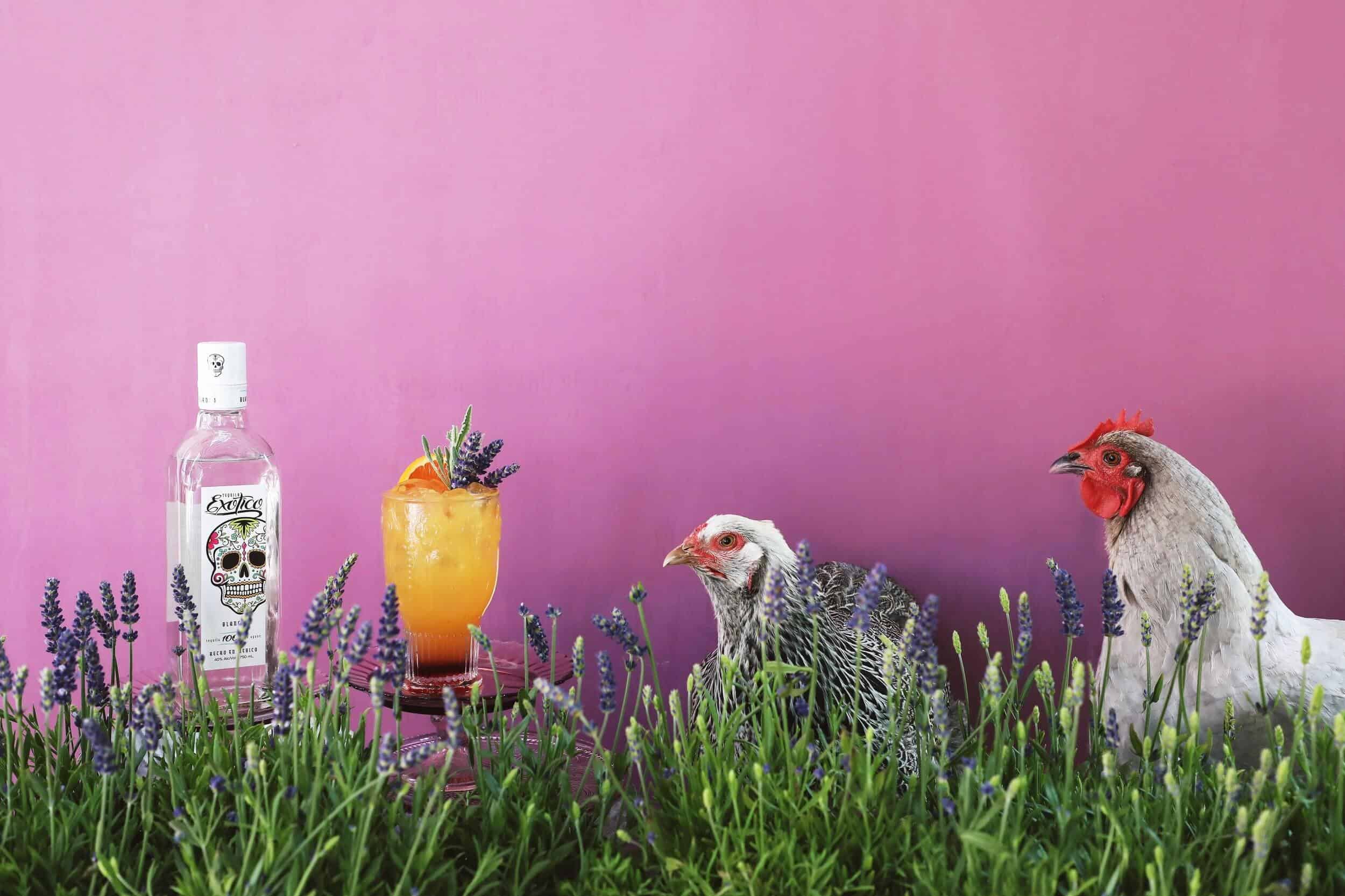 Lavender Tequila Sunrise by Drinking with Chickens