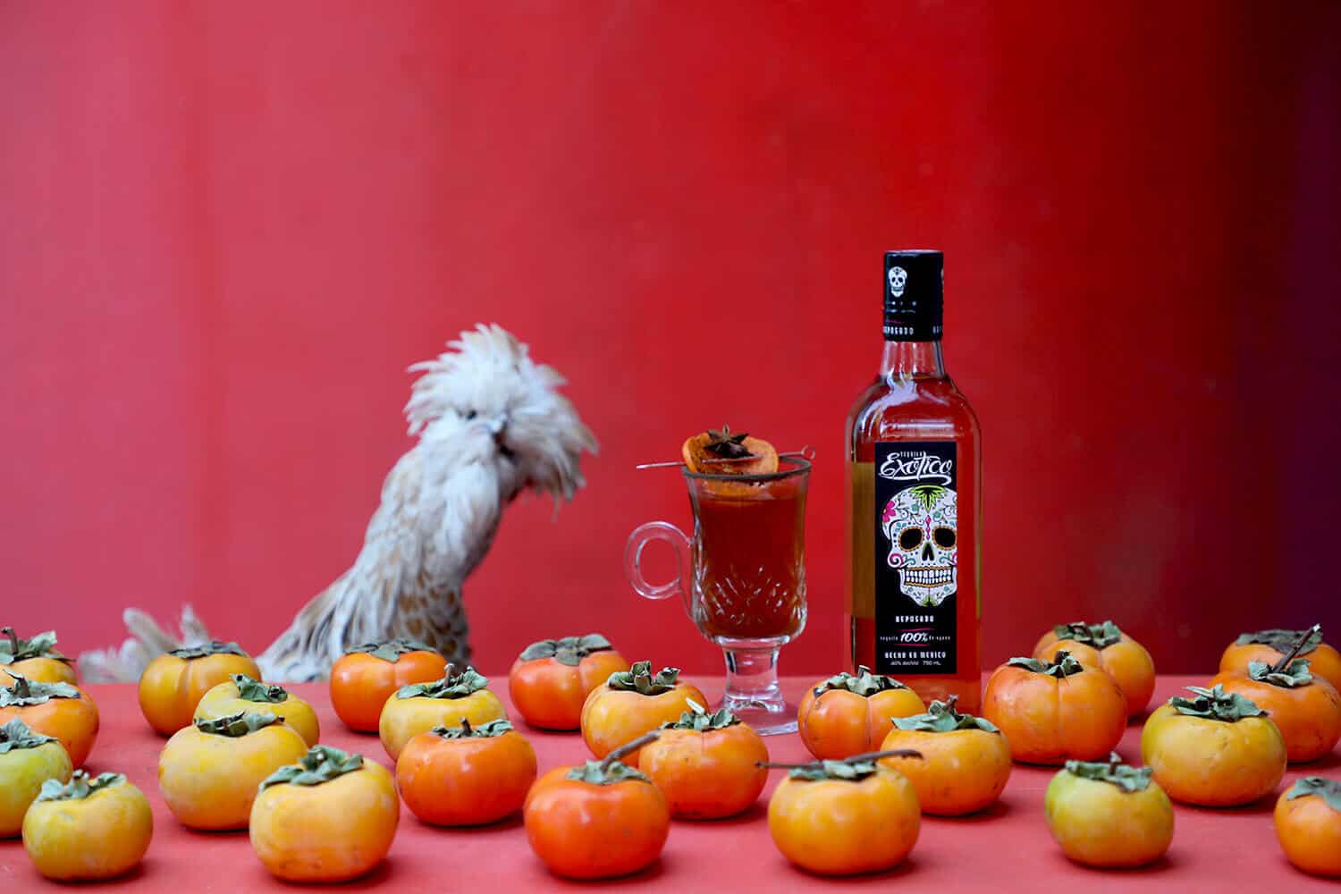 SPICED PERSIMMON TEQUILA TODDY BY DRINKING WITH CHICKENS
